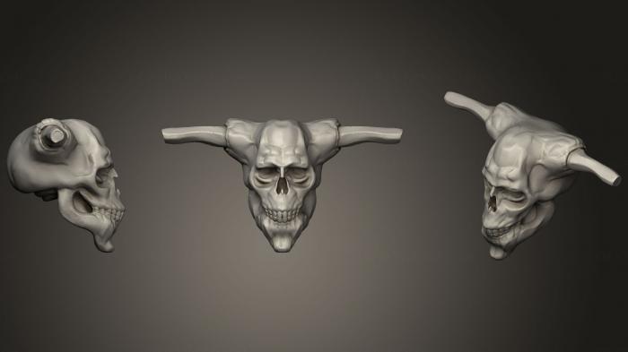 Anatomy of skeletons and skulls (ANTM_0662) 3D model for CNC machine